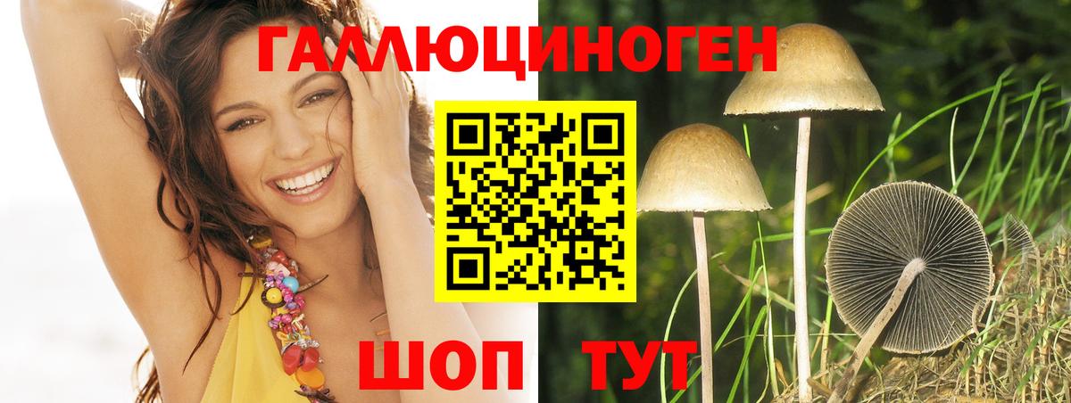 Галлюциногенные грибы прущие грибы Лабытнанги